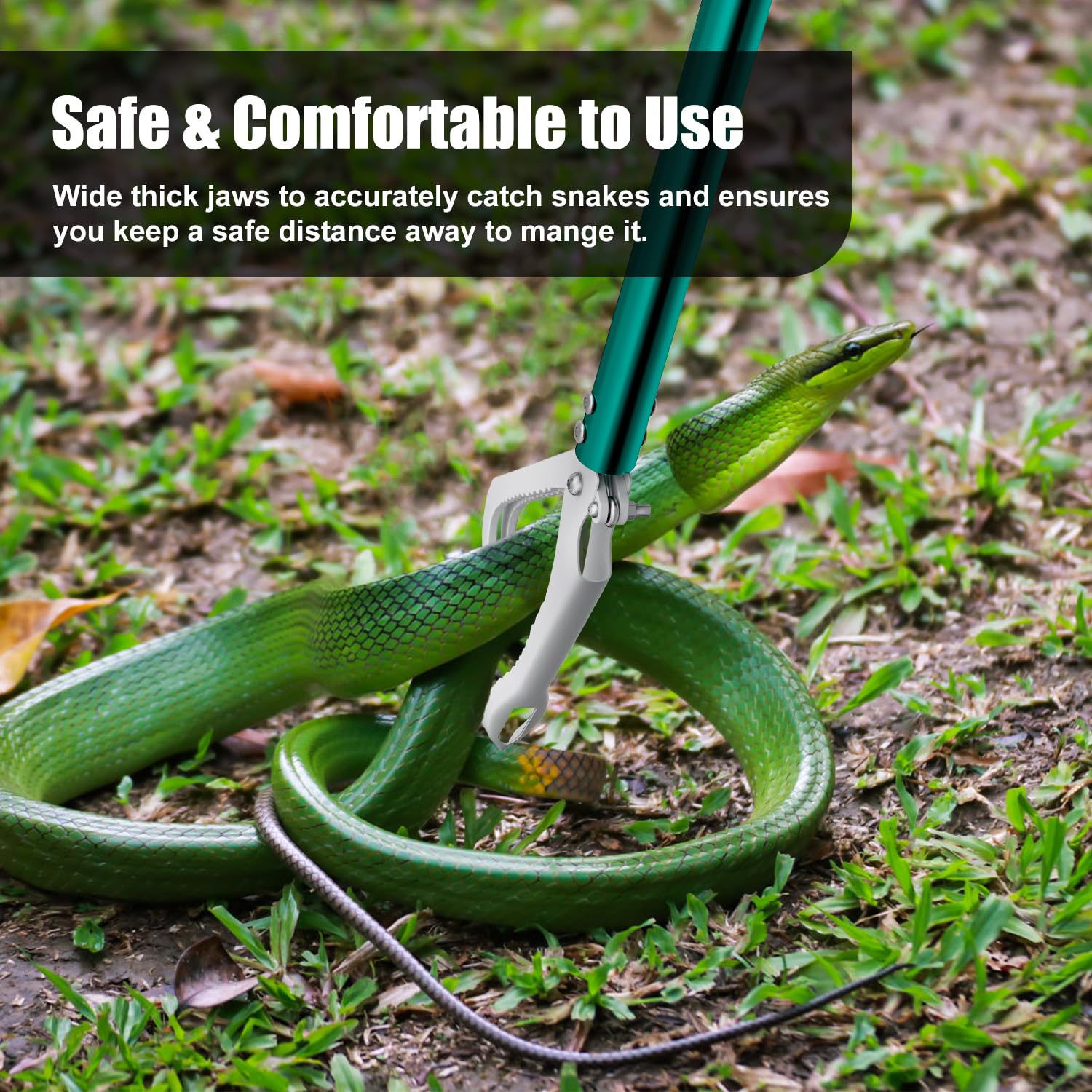 GYORGKSHI safe transport of snakes with minimal harm to reptiles.