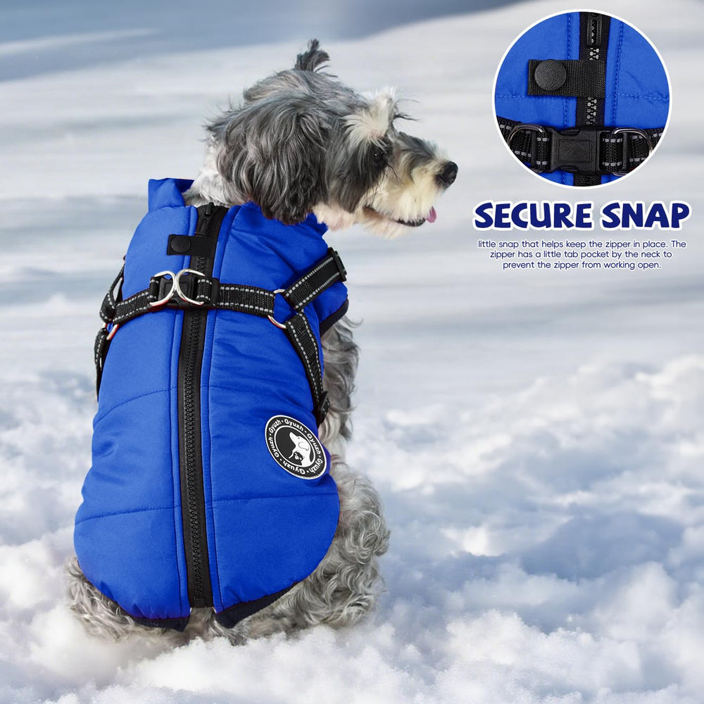 Gyuzh dog coat features adjustable abdomen straps for a snug fit