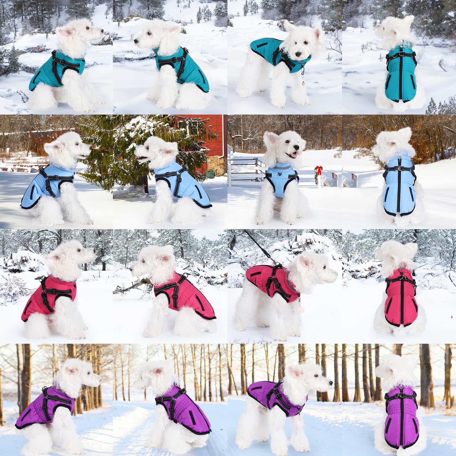 Gyuzh dog coat adjustable belly straps ensure snug, flexible fit across breeds.