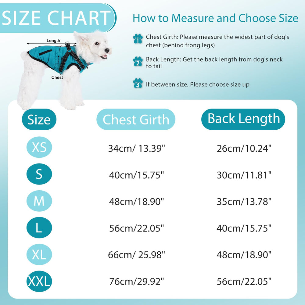 Gyuzh dog coat suitable for all breeds with versatile fit for outdoor adventures.