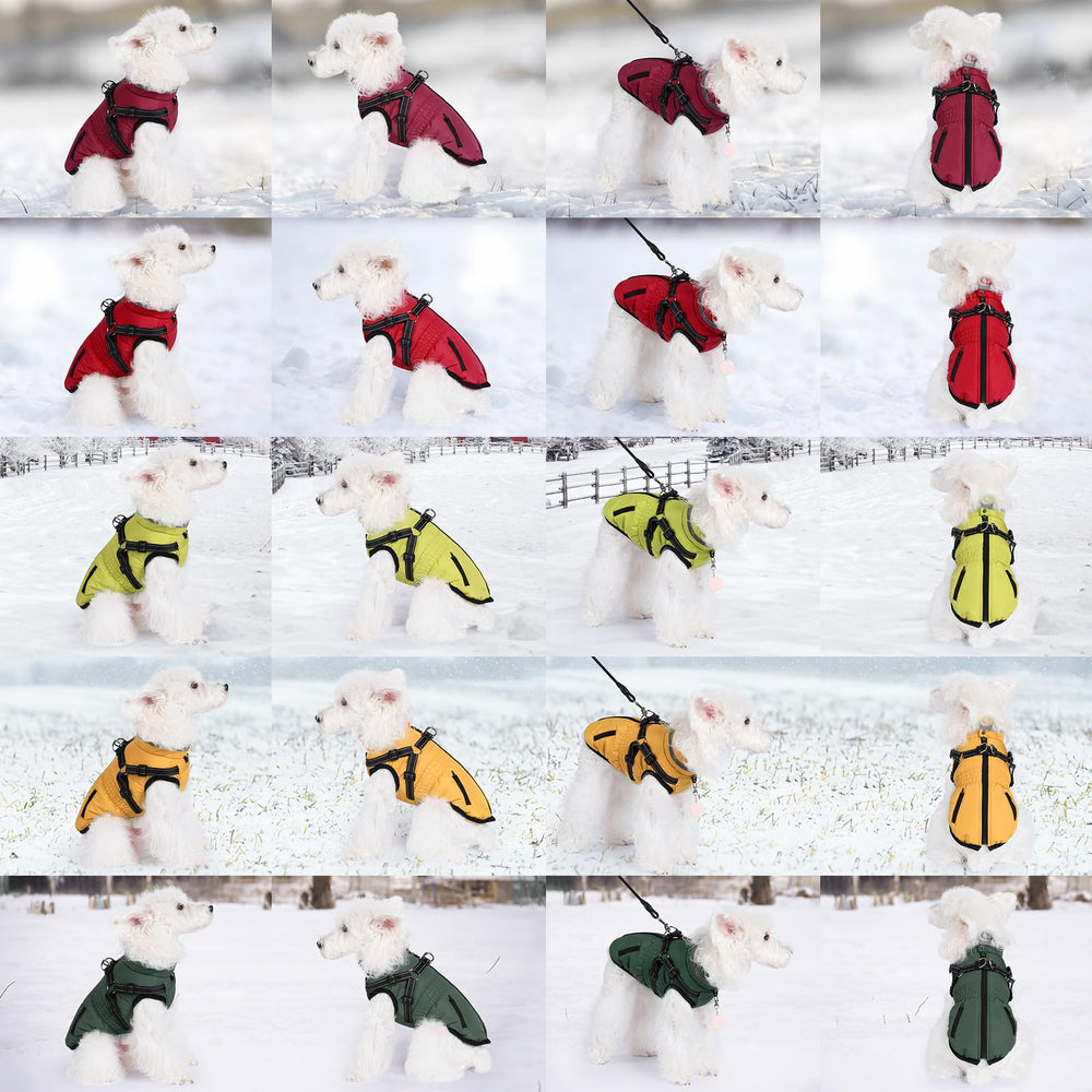 Gyuzh dog coat back-zip design protects fur and eases wearing.