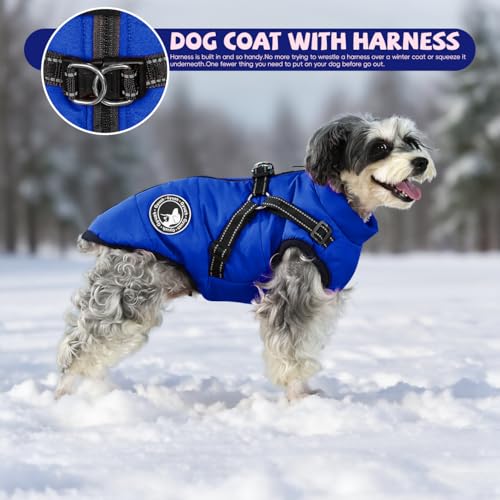Gyuzh dog coat suits small to large breeds with versatile warmth