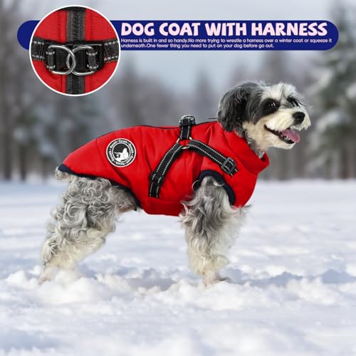 Gyuzh coat maintains shape after gentle care and regular wear.