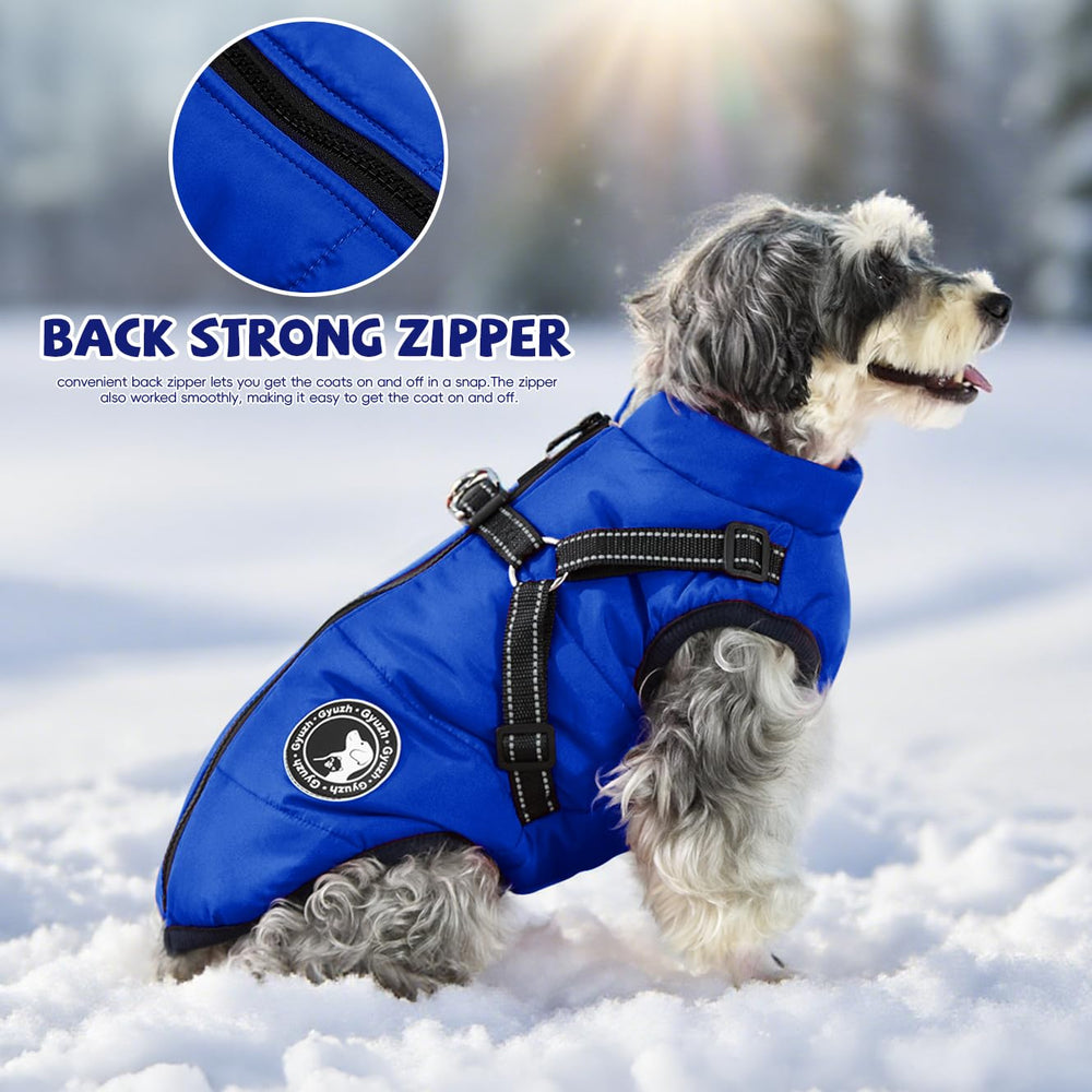Gyuzh dog coat ideal for daily outings, indoors or outdoors