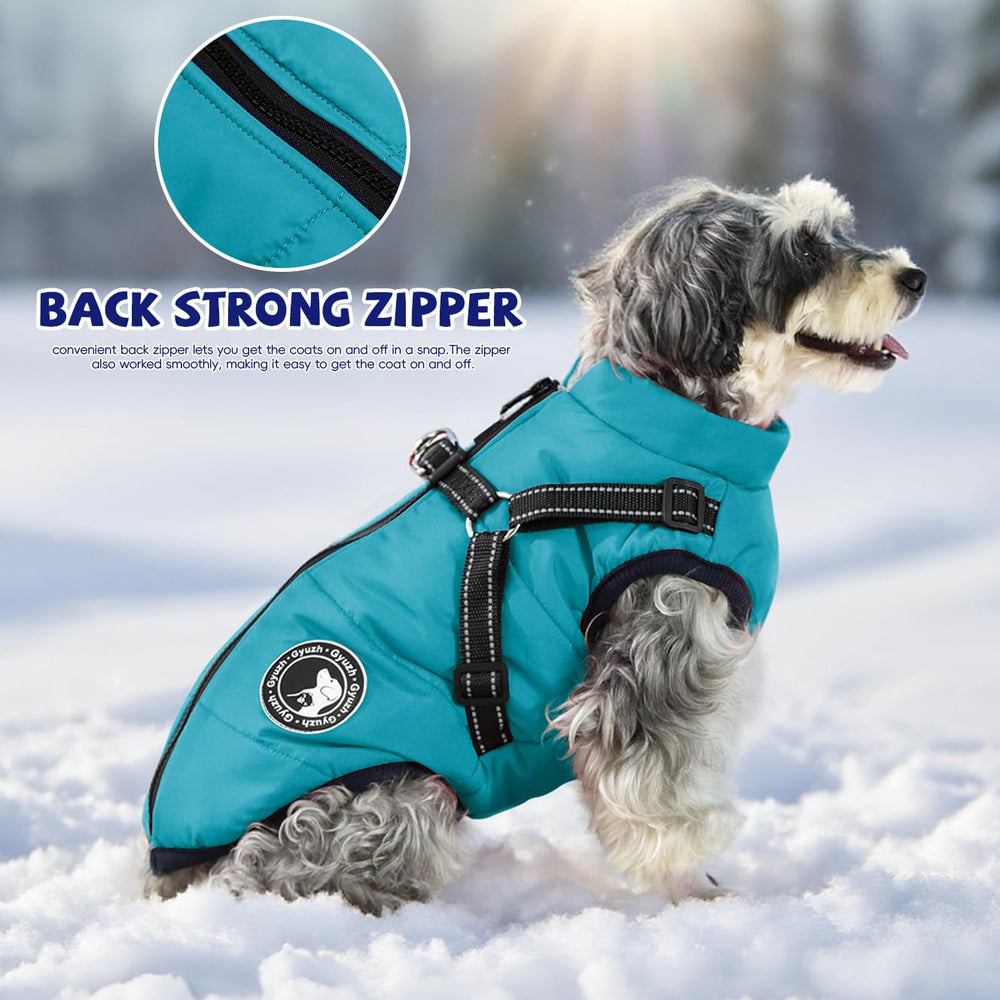 Gyuzh dog coat is comfortable for daily indoor/outdoor wear.