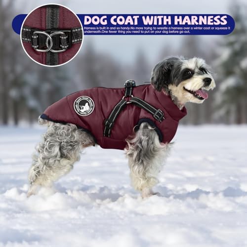 Gyuzh rain-ready coat supports reliable protection during walks in wet weather.