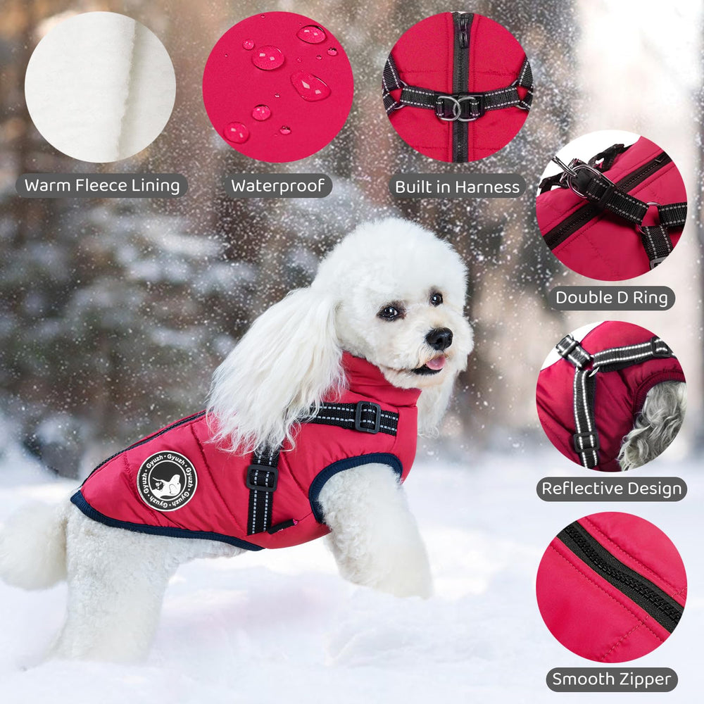 Gyuzh dog coat harness back-zip close-up showing built-in harness