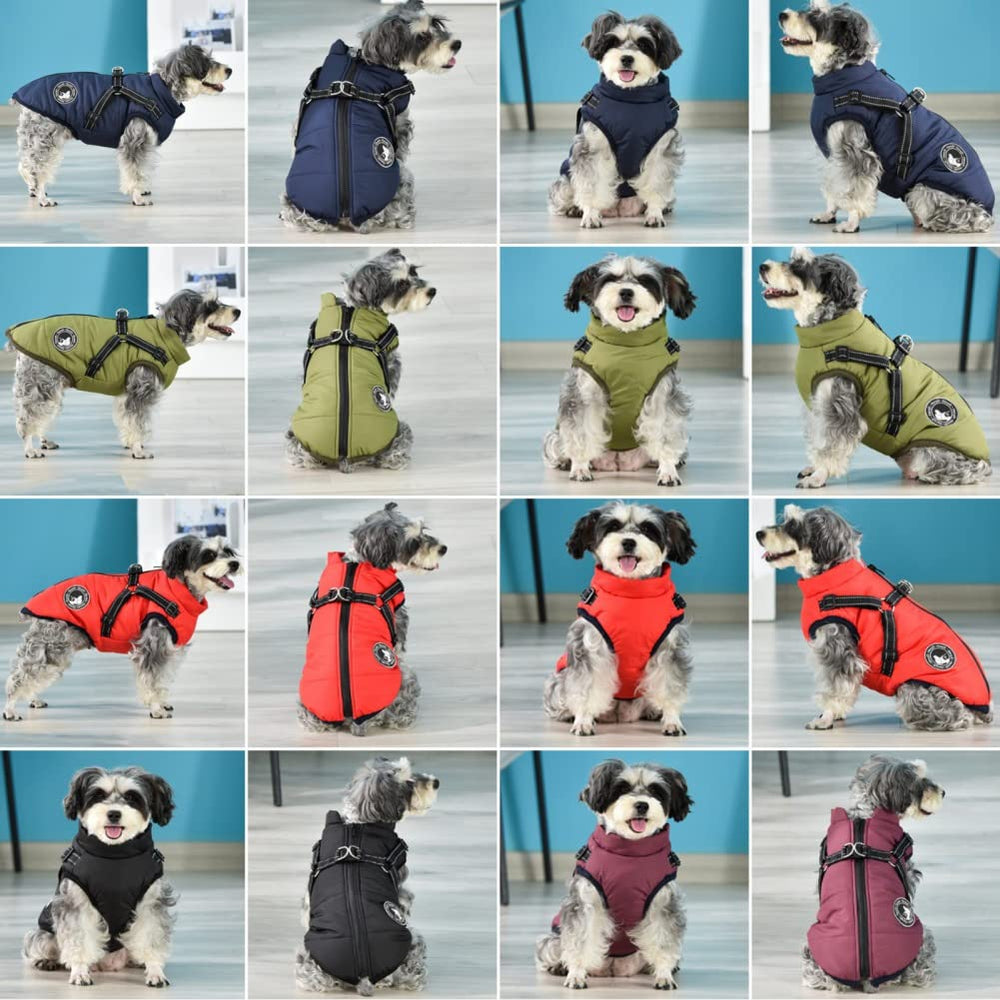 Gyuzh dog coat harness durable padding protects against light bumps