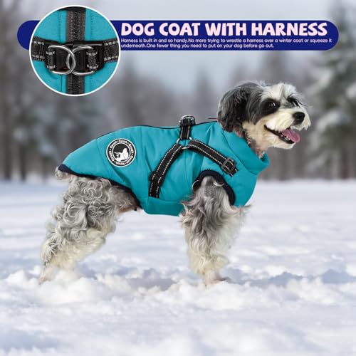 Gyuzh dog coat perfect for various breeds from small to large.