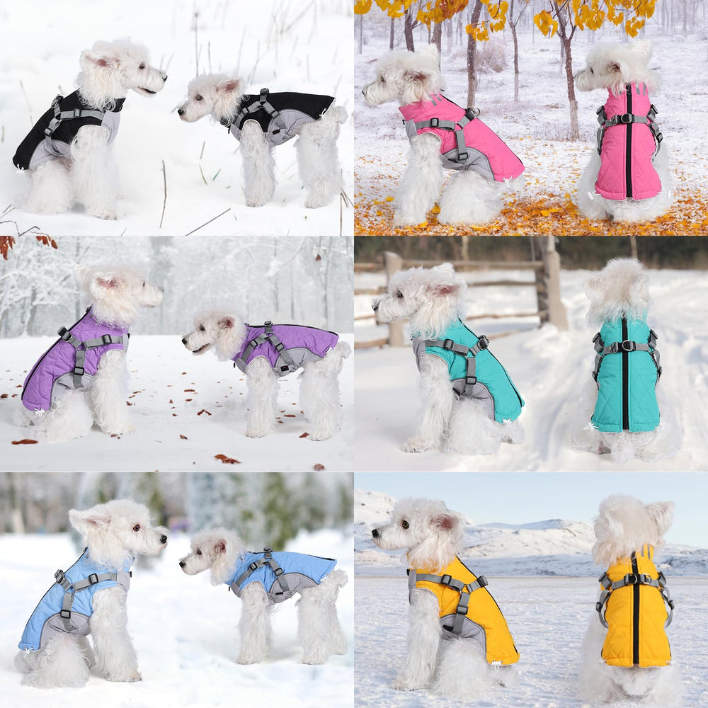 Gyuzh padded harness coat keeps your dog warm and easy to walk outdoors.