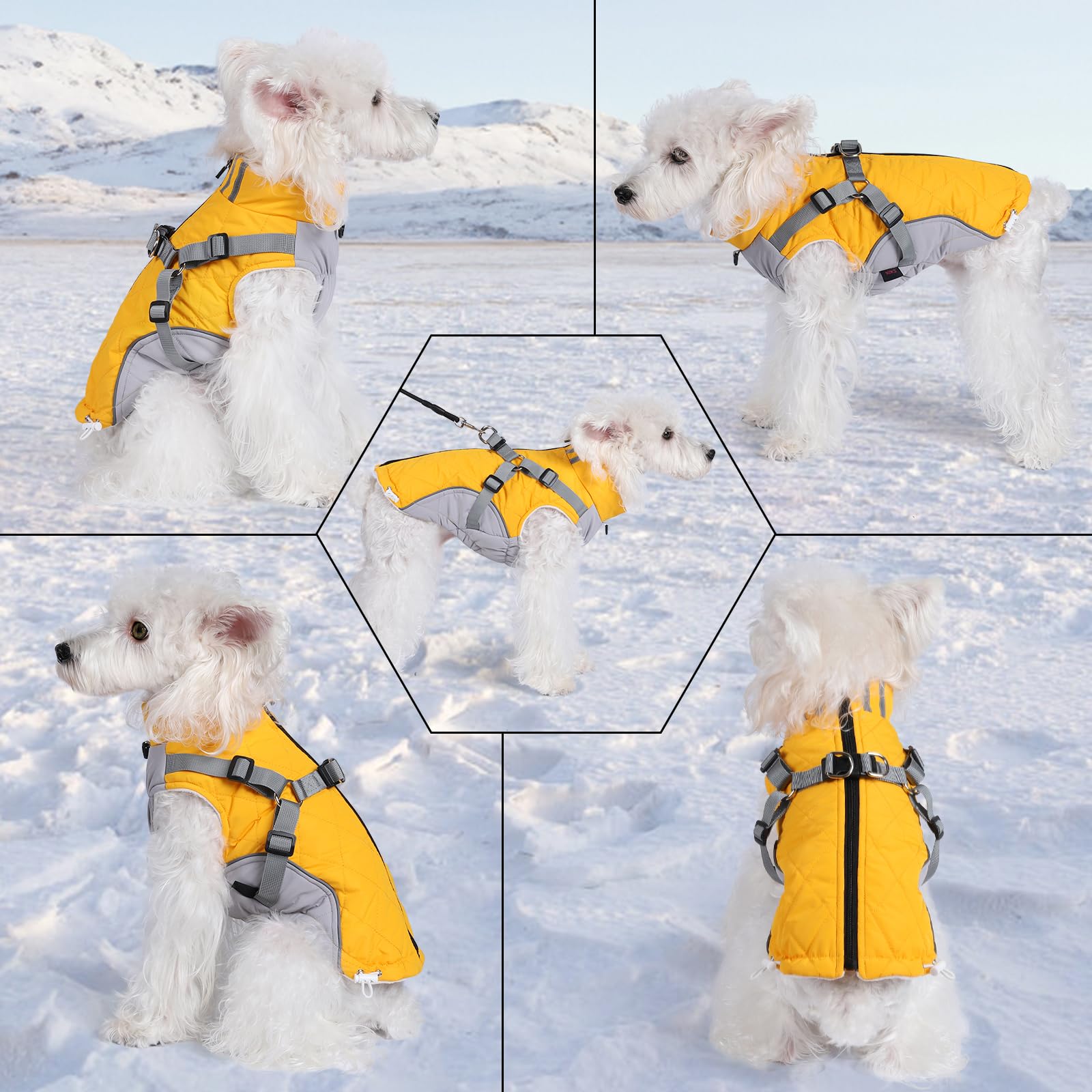 Gyuzh dog coat reflective strip improves visibility for safe night walks.
