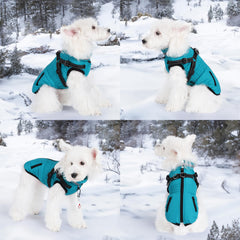 Gyuzh dog coat reflective strip enhances night visibility for safe evening walks.