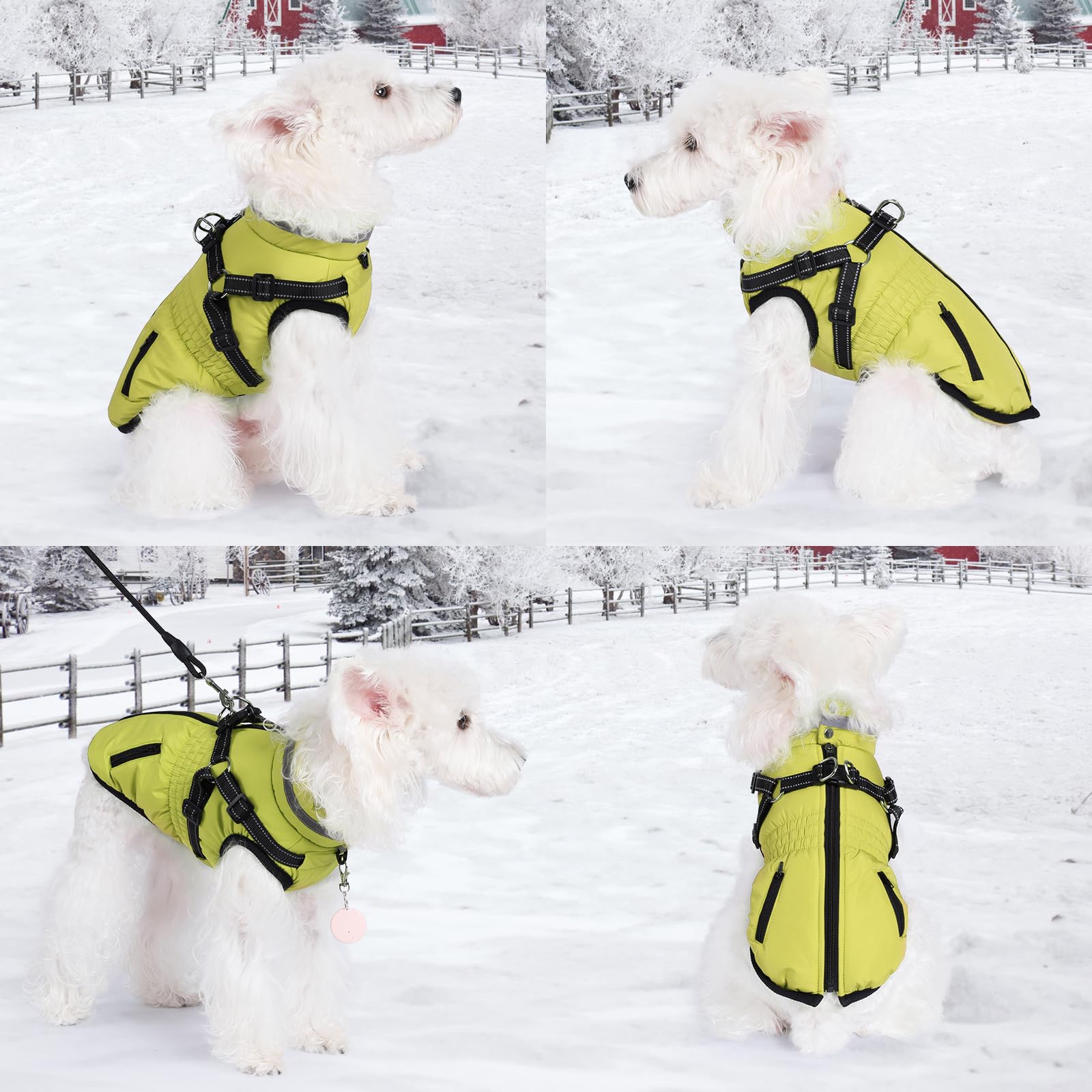 Gyuzh dog coat features reflective strip for safer night strolls.