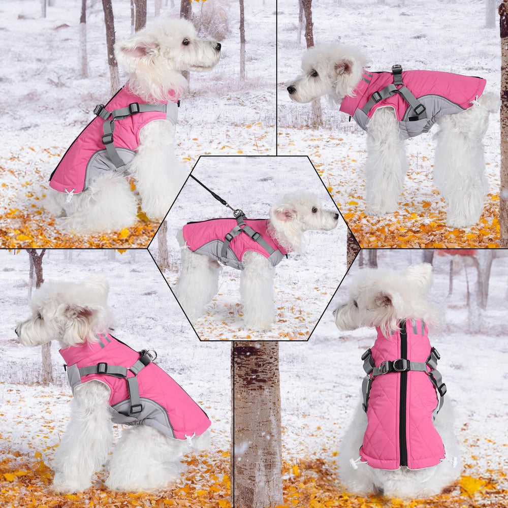 Gyuzh dog coat reflective strip emphasizes night visibility for safer walks.
