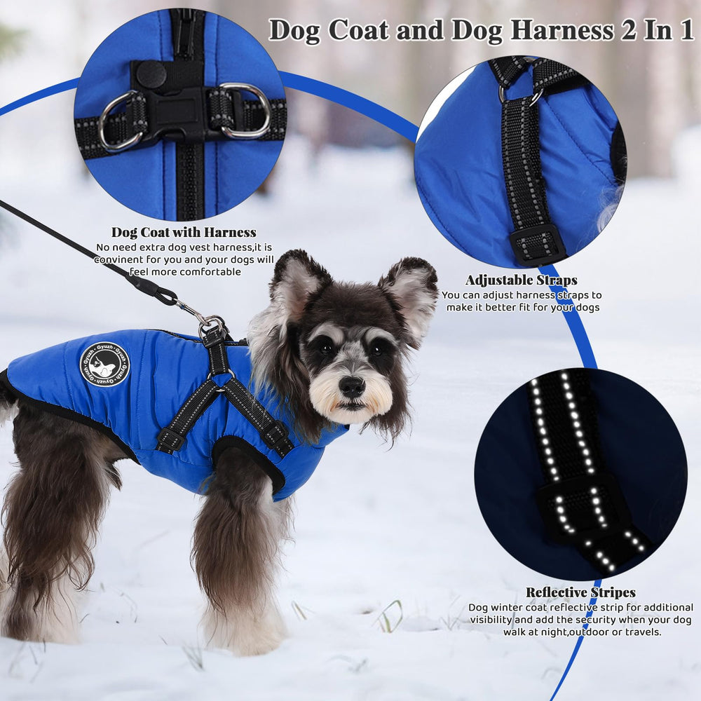 Gyuzh dog coat waterproof fabric keeps pets dry during rainy or snowy walks