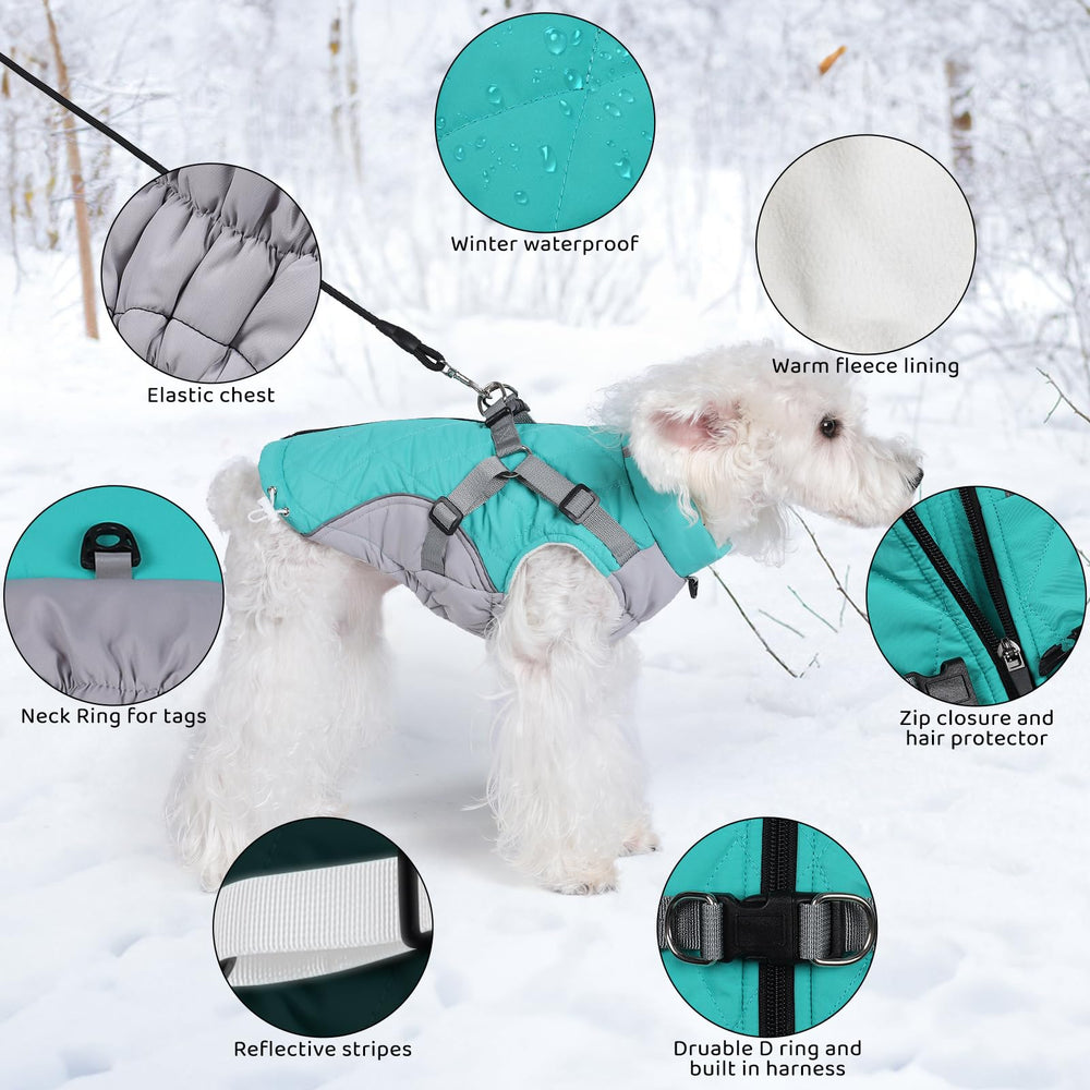 Gyuzh dog coat waterproof outer layer and padded interior for warmth.