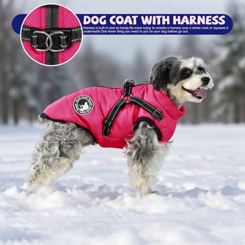 Gyuzh Dog Coat supports daily indoor and outdoor wear through autumn and winter.