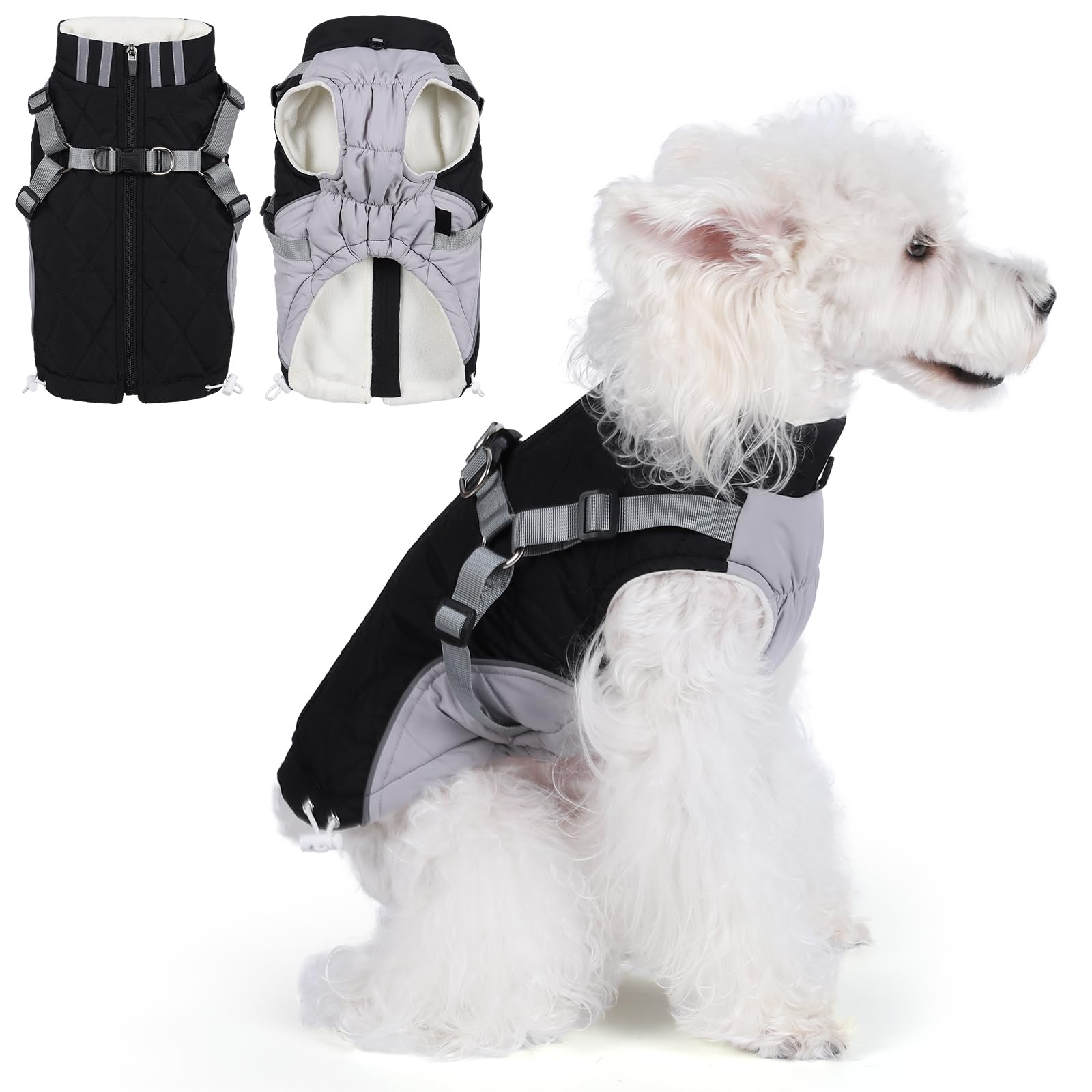 Gyuzh dog coat with harness front view highlights secure fit for chilly outdoor strolls