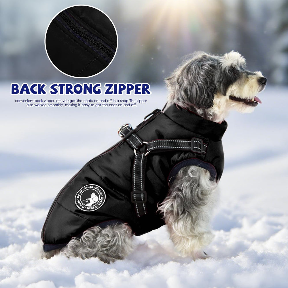 Gyuzh dog coat with harness worn on a dog during a walk