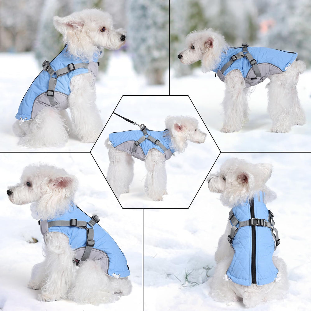 Gyuzh dog coat with harness reflective strip boosts visibility at night.