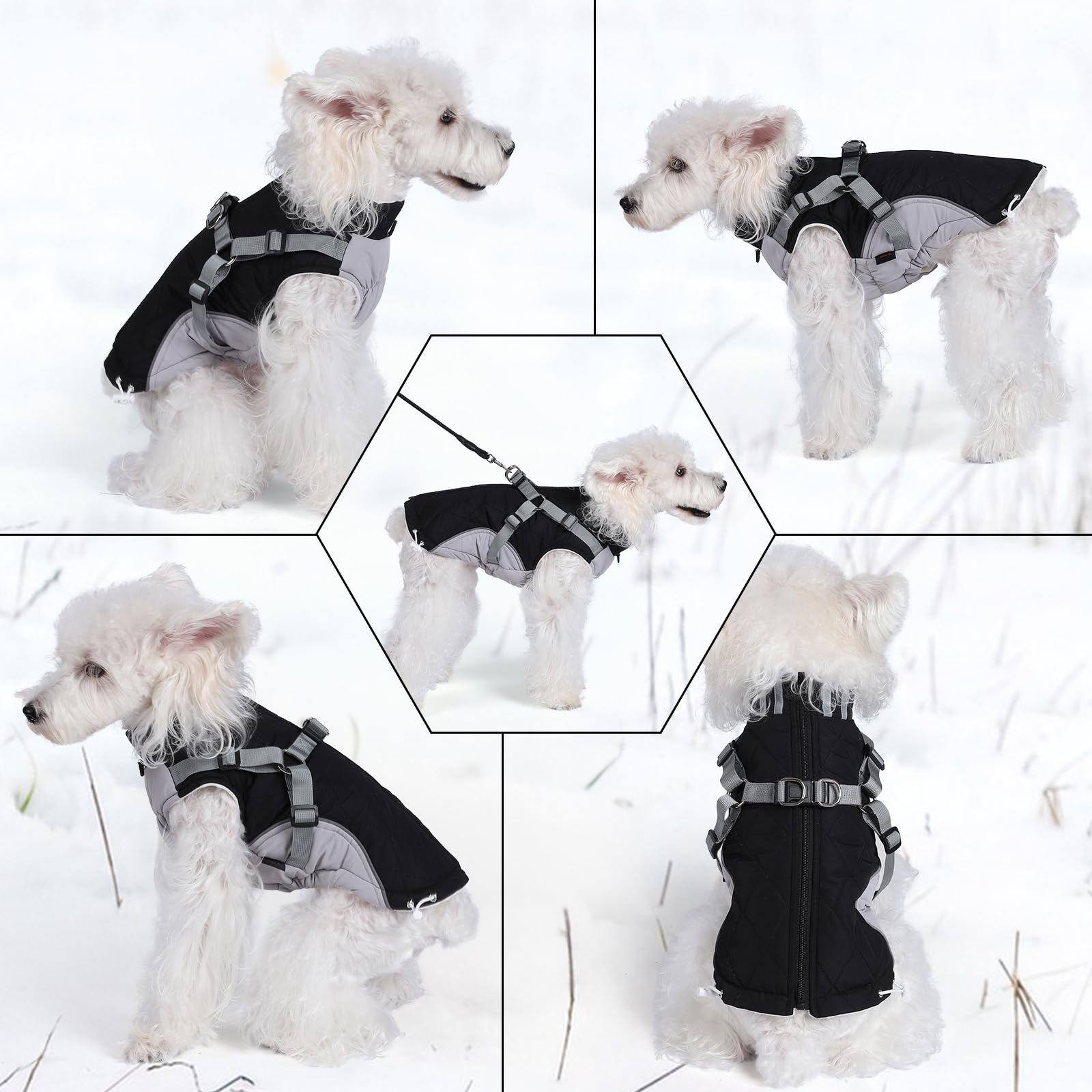 Gyuzh dog coat with harness reflective strip detail boosts nighttime visibility