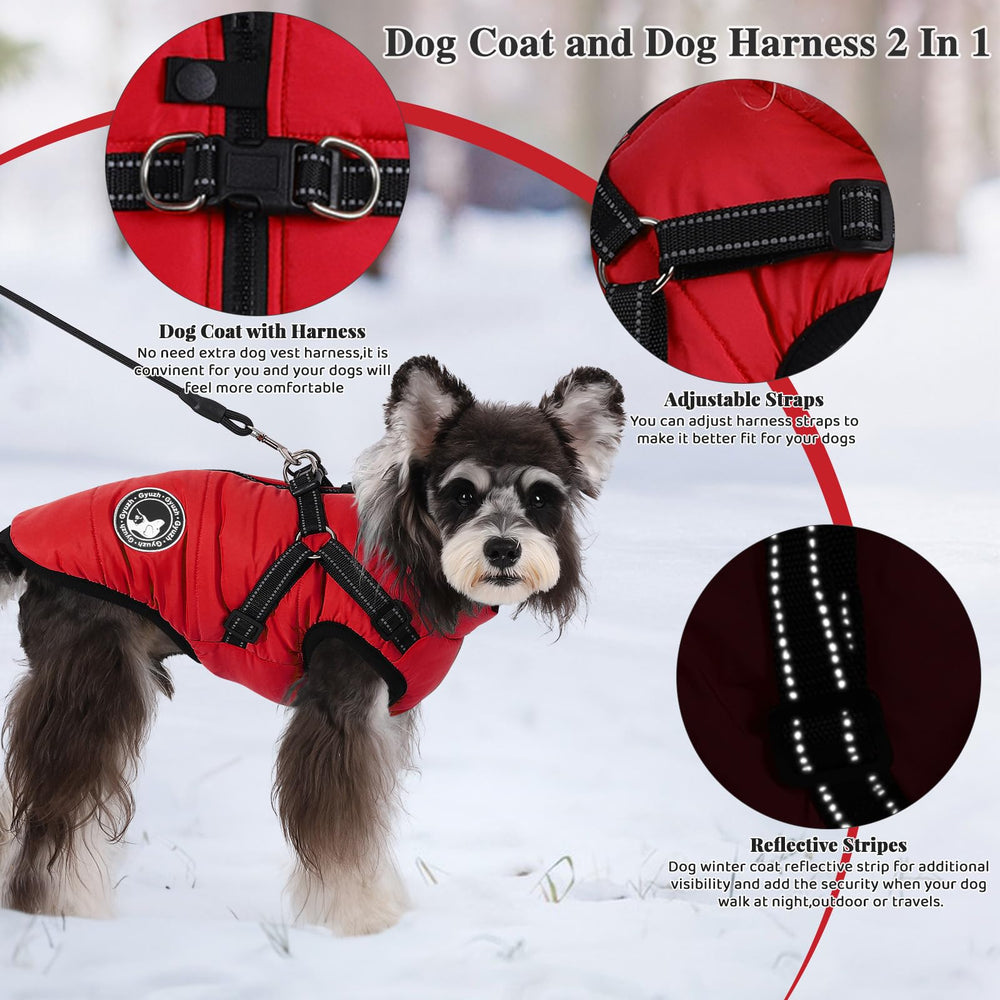 Gyuzh dog jacket with zipper design enables easy on-off wear.