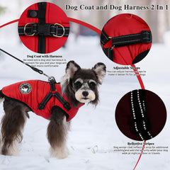 Gyuzh dog jacket with zipper design enables easy on-off wear.