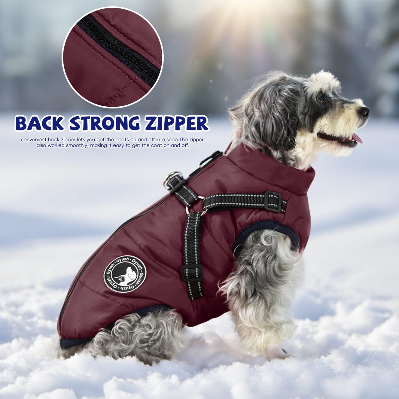 Gyuzh harness-in-use design keeps dogs secure without strain.