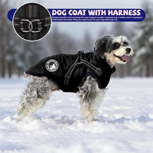 Gyuzh model wearing coat during winter walk shows comfortable protection.