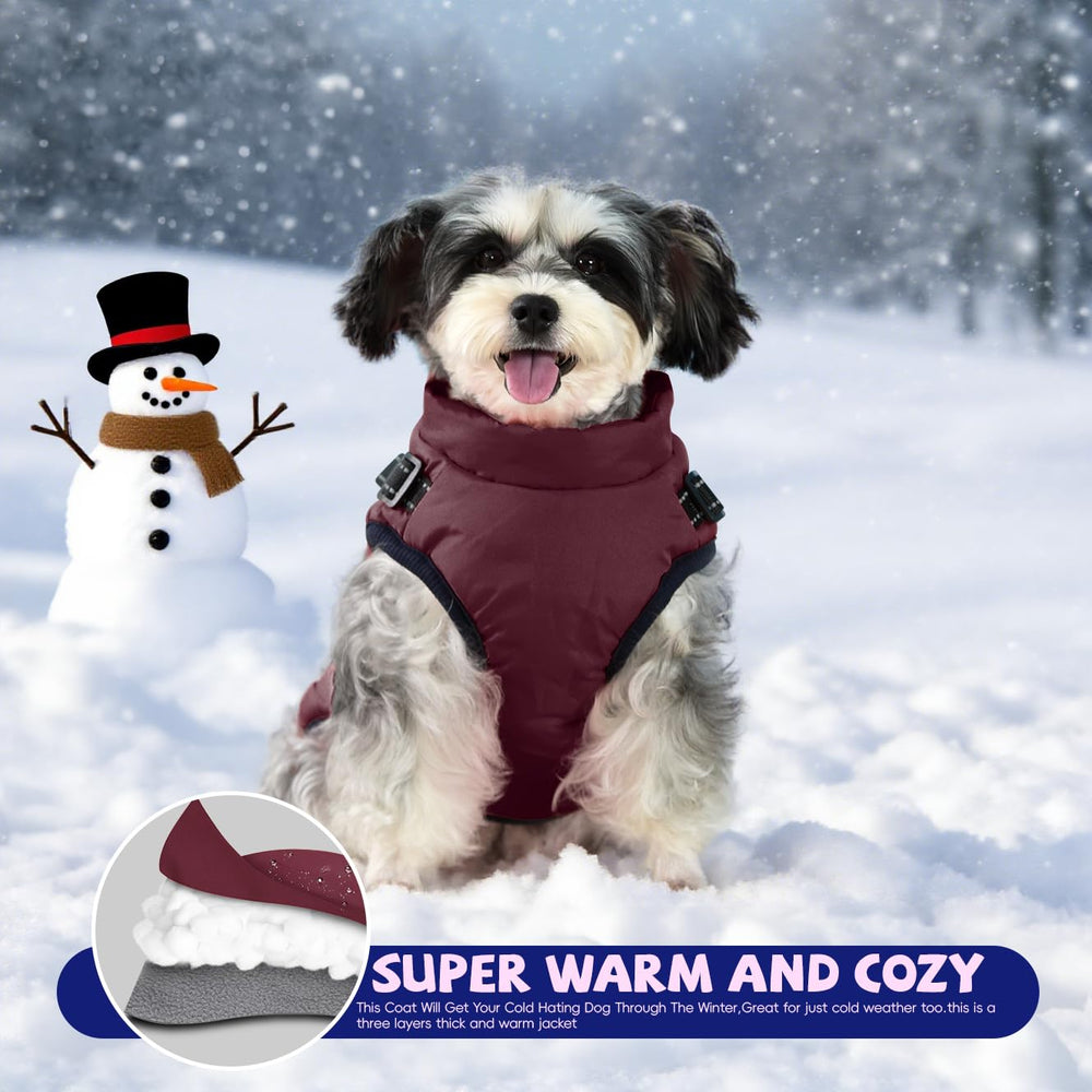 Gyuzh size-measurement-guide helps you choose the right fit for your dog.
