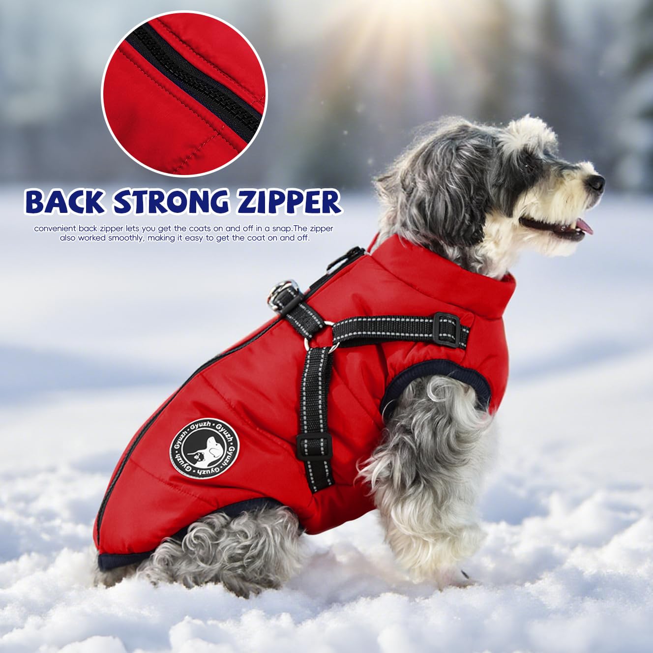 Gyuzh versatile fit suits small to large dogs with integrated harness.