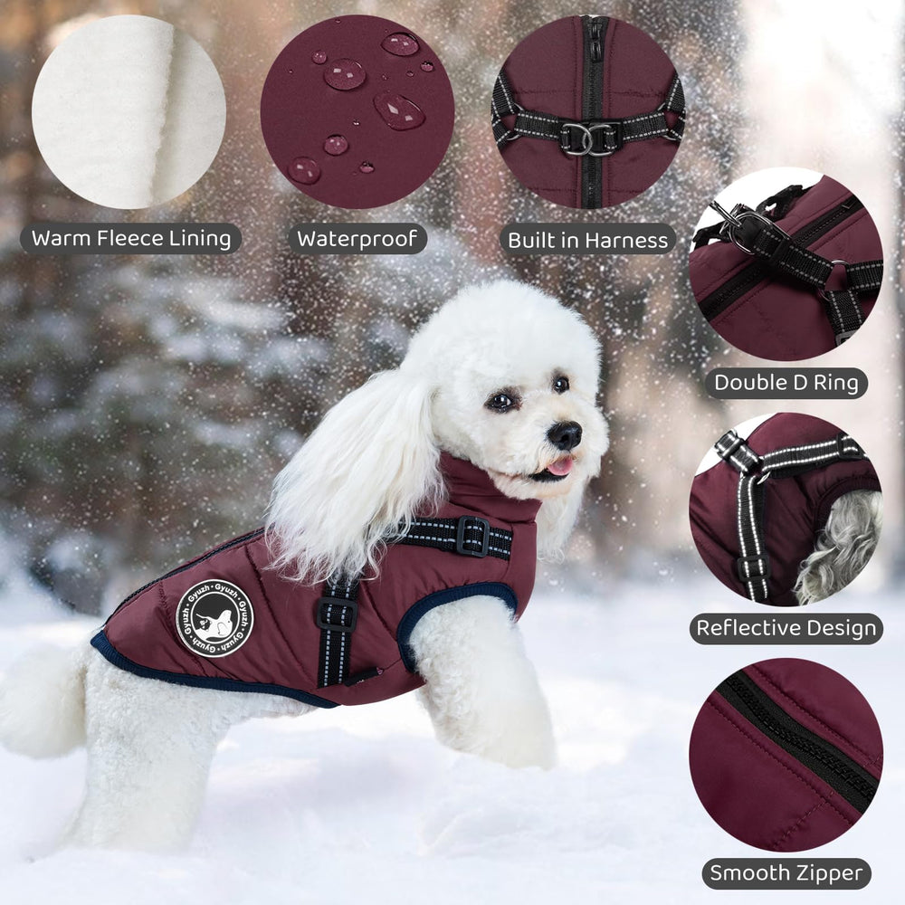 Gyuzh waterproof outer layer shields a dog from rain and slush during outings.