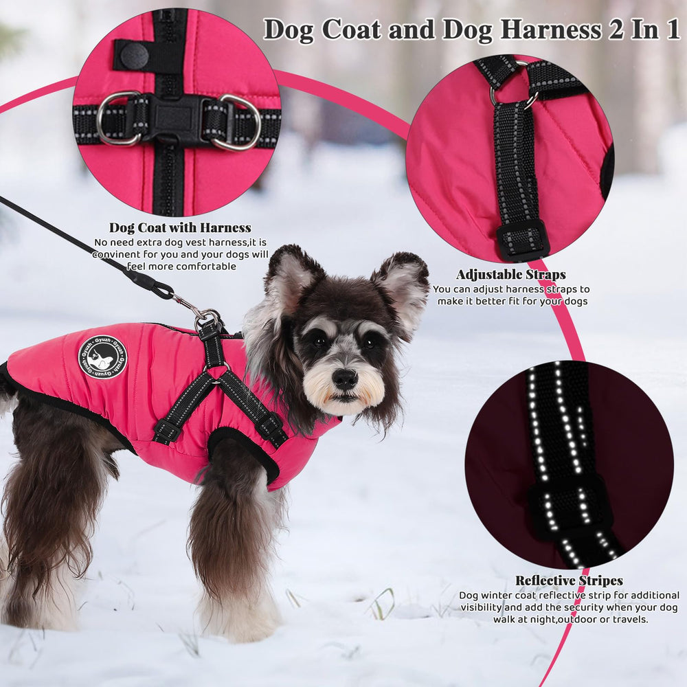 Gyuzh winter dog coat waterproof fabric in action