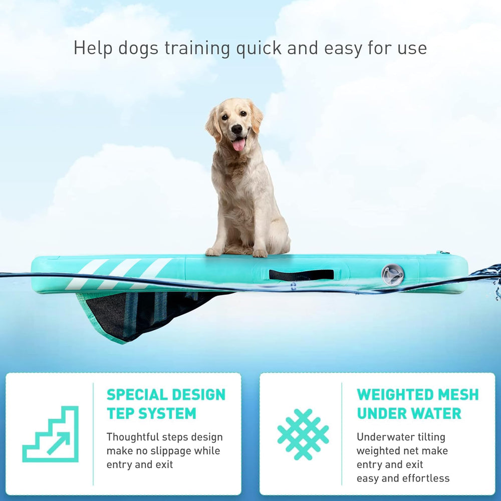 GZYSINFLA large-dog ramp with anti-slip PVC surface