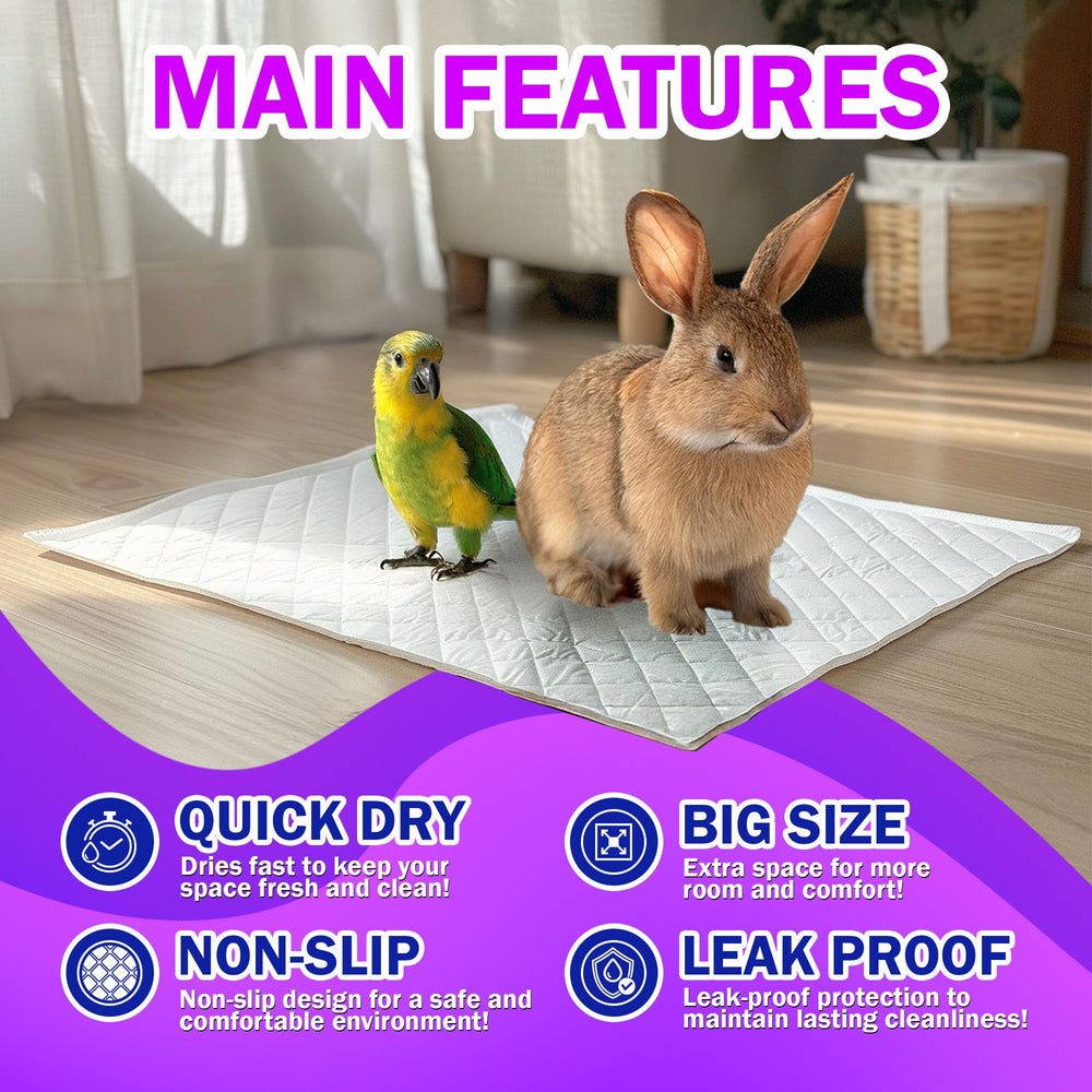 HA SHI five-layer protection emphasizes strong absorbency and reliability