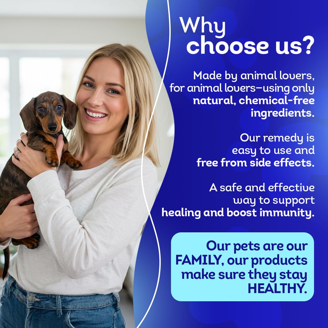 HA4E itch-relief use in home setting for dogs