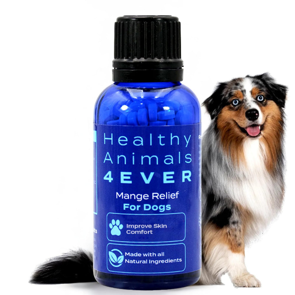 HA4E mange relief tablets jar with all-natural ingredients for dog comfort