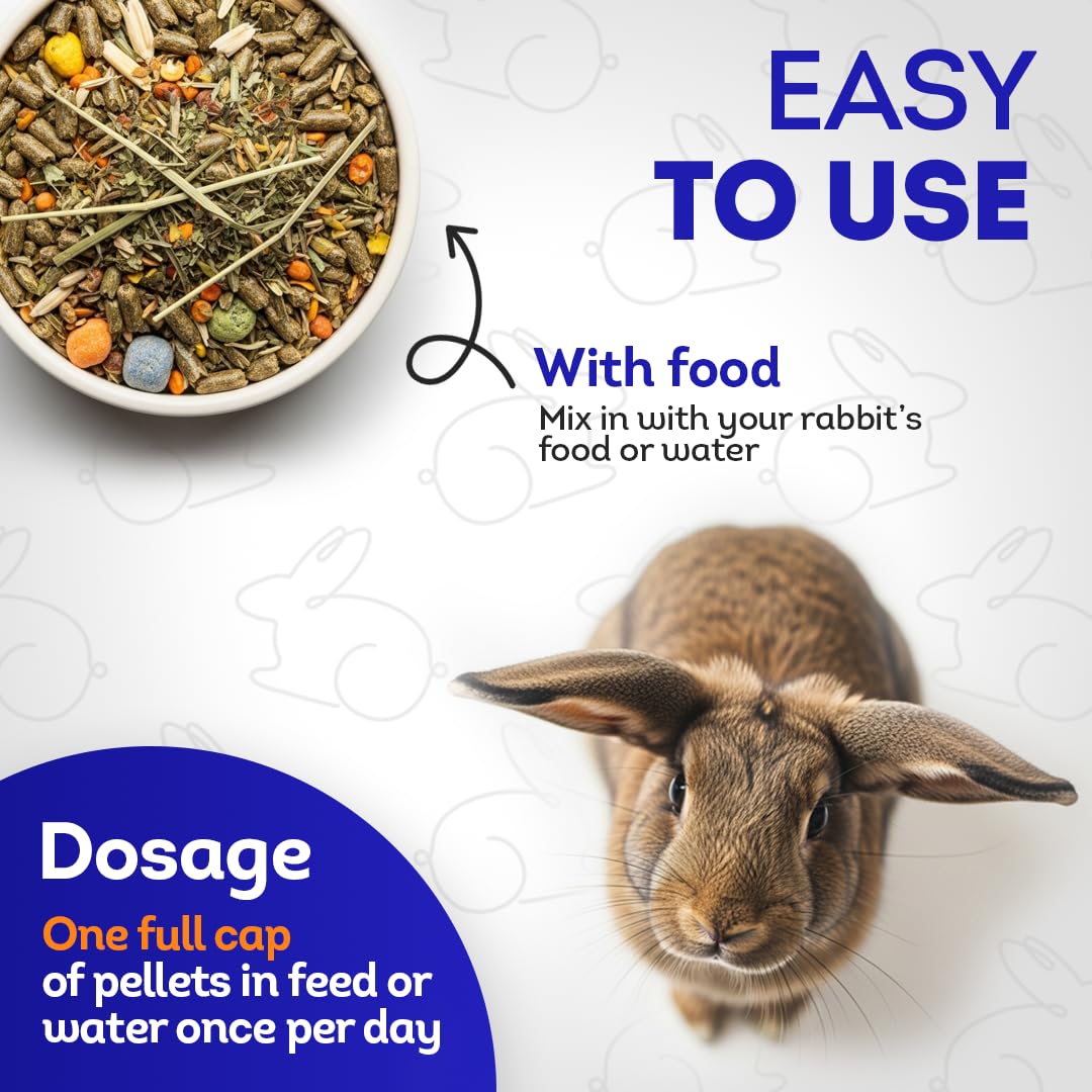 HealthyAnimals4Ever HA4E 300-count packaging image highlights long-term, affordable respiratory care.