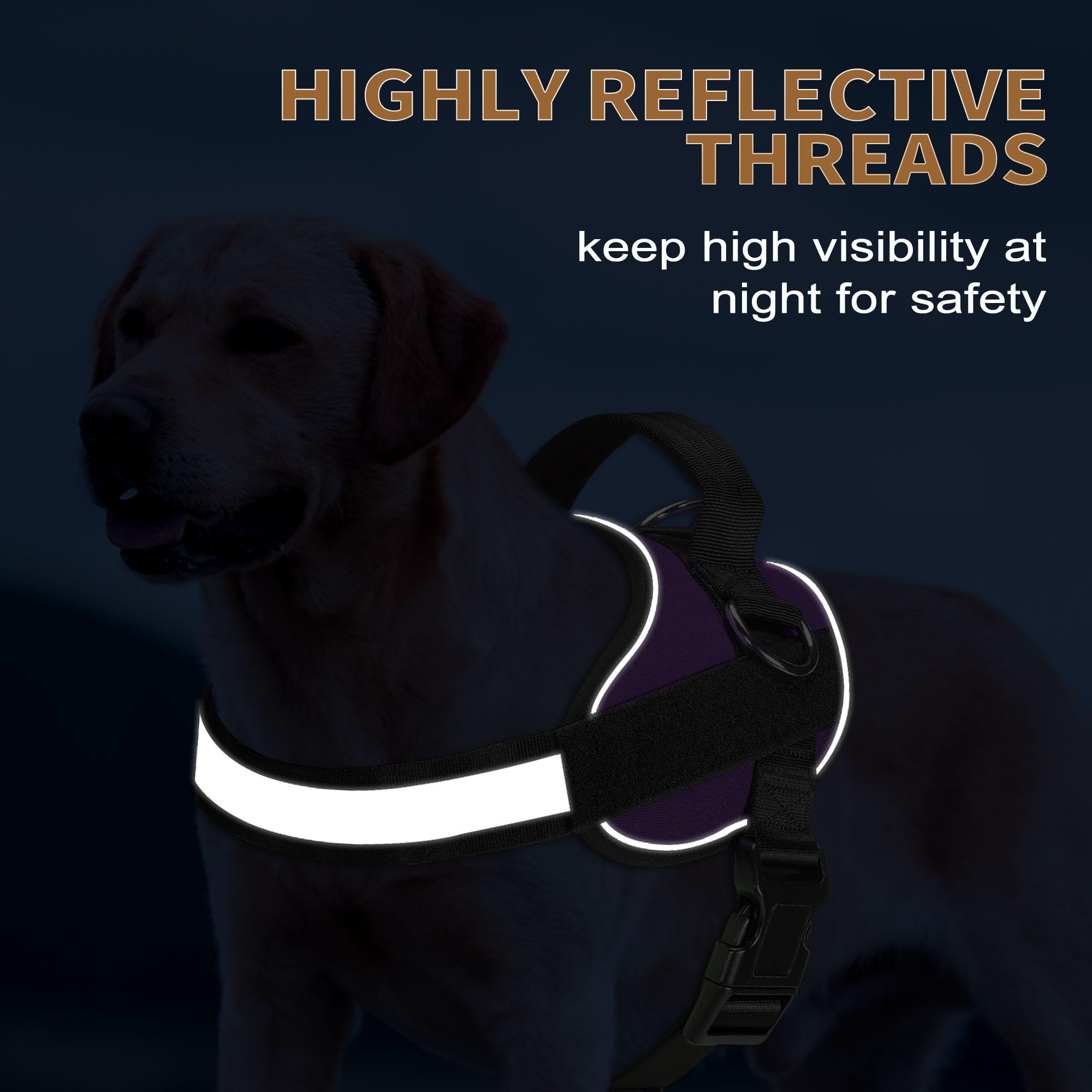 Haapaw harness widened thickened handle for secure, comfortable control