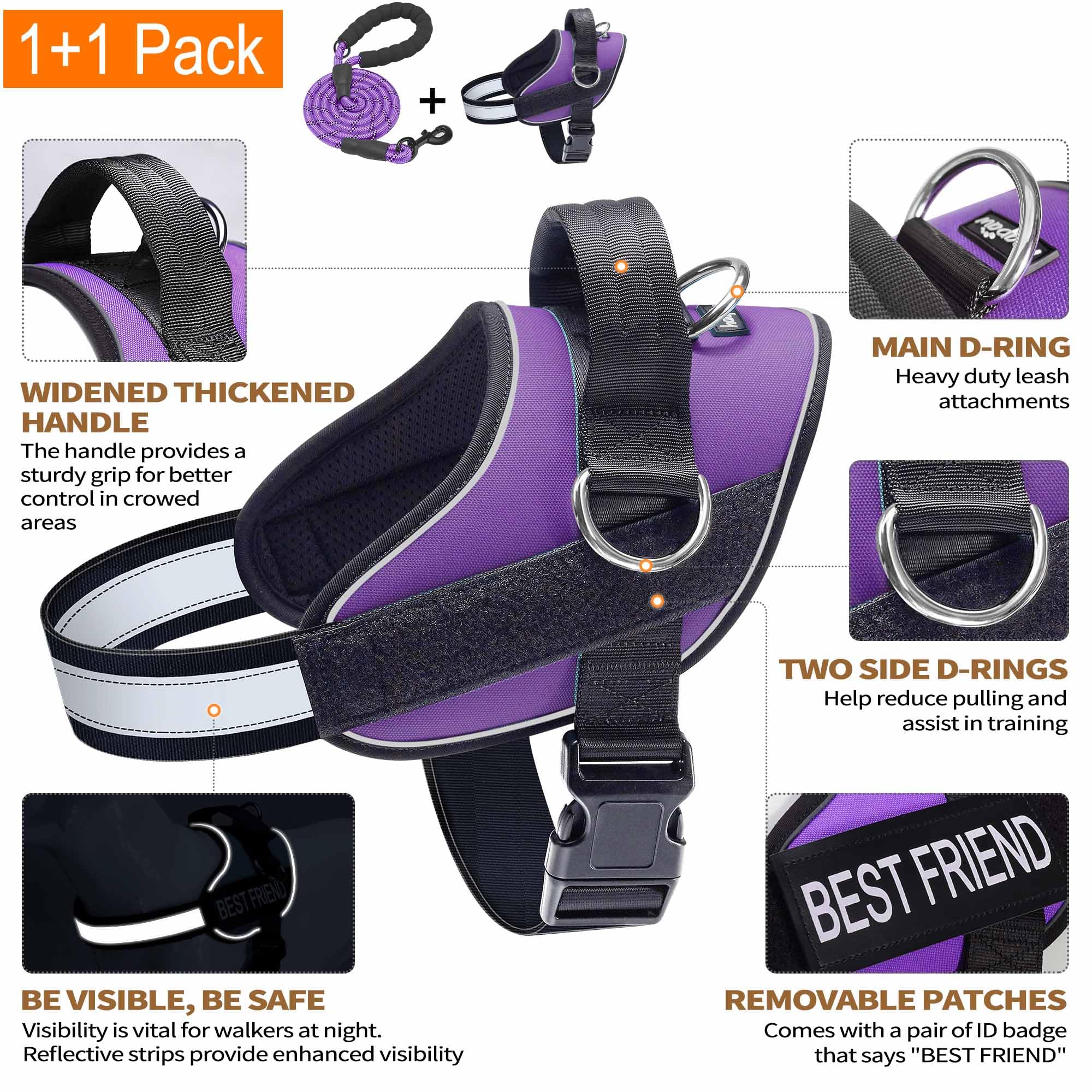 Haapaw three-ring no-pull leash attachment showing versatile training points