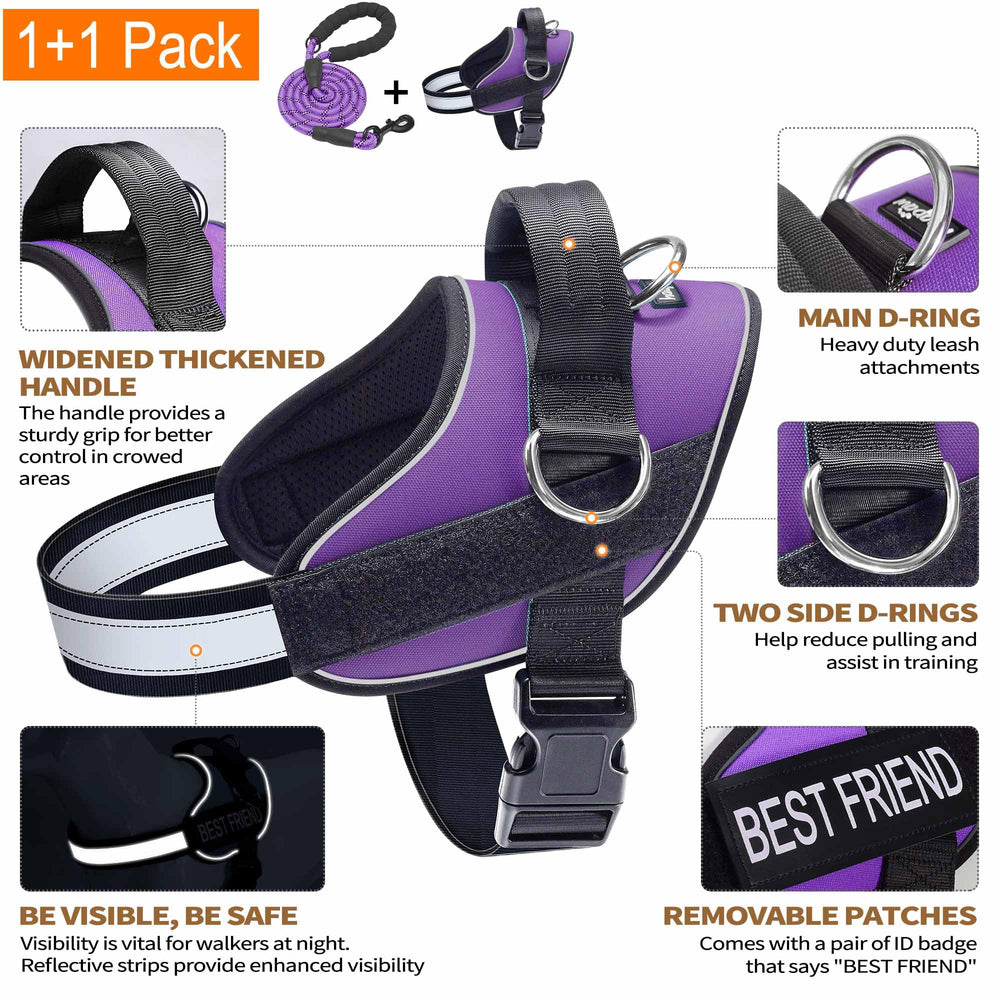 Haapaw three-ring no-pull leash attachment showing versatile training points