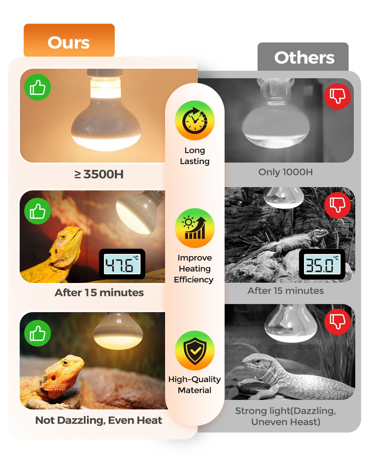 Haceryc Reptile Heat Lamp in bearded dragon setup fosters healthy basking and movement.
