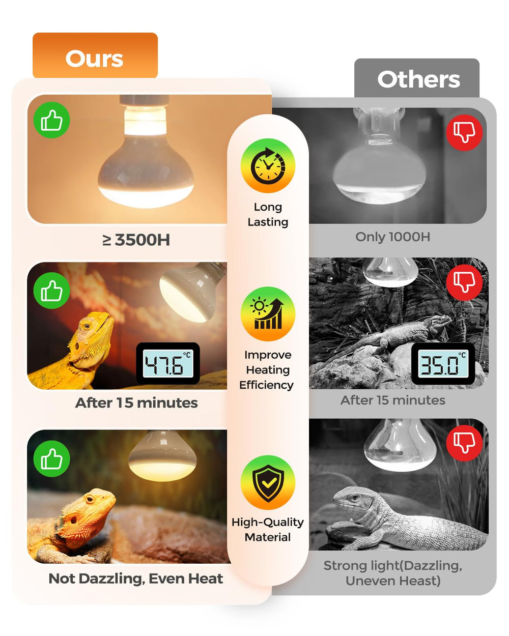 Haceryc Reptile Heat Lamp in bearded dragon setup fosters healthy basking and movement.