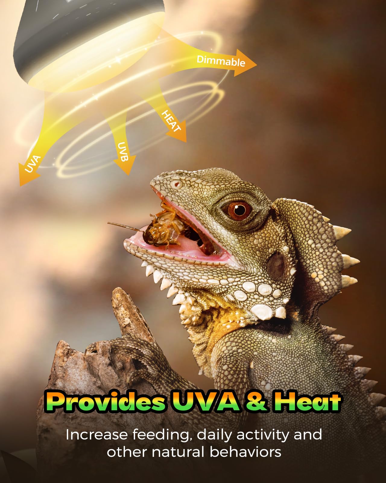 Haceryc Reptile Heat Lamp uses durable glass and filament for reliable performance.