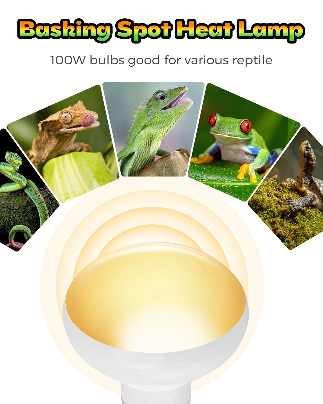 Haceryc Reptile Heat Lamp UVA-simulated light supports natural behaviors in enclosures.