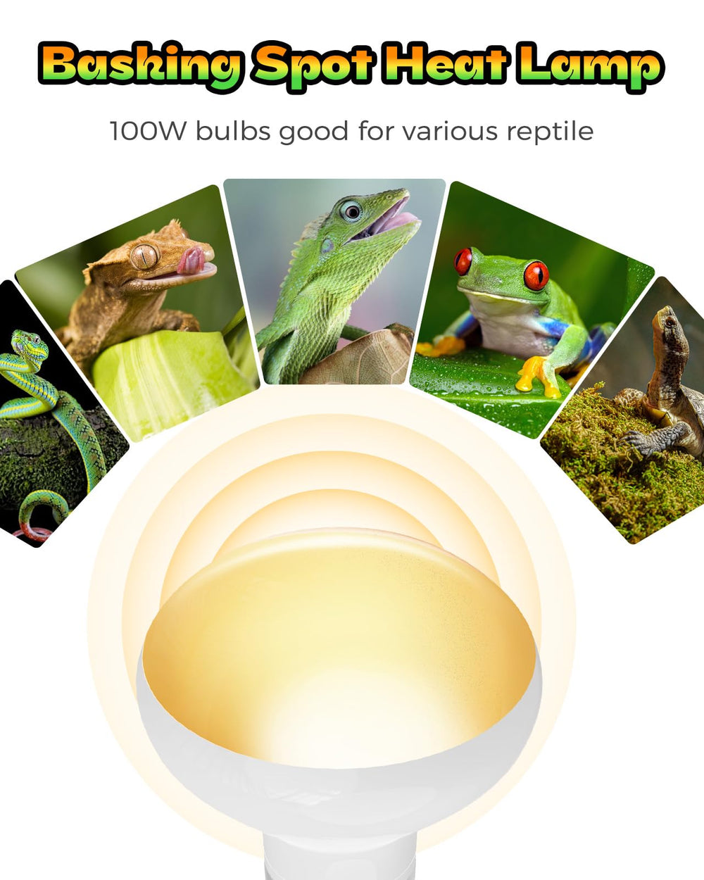 Haceryc Reptile Heat Lamp UVA-simulated light supports natural behaviors in enclosures.