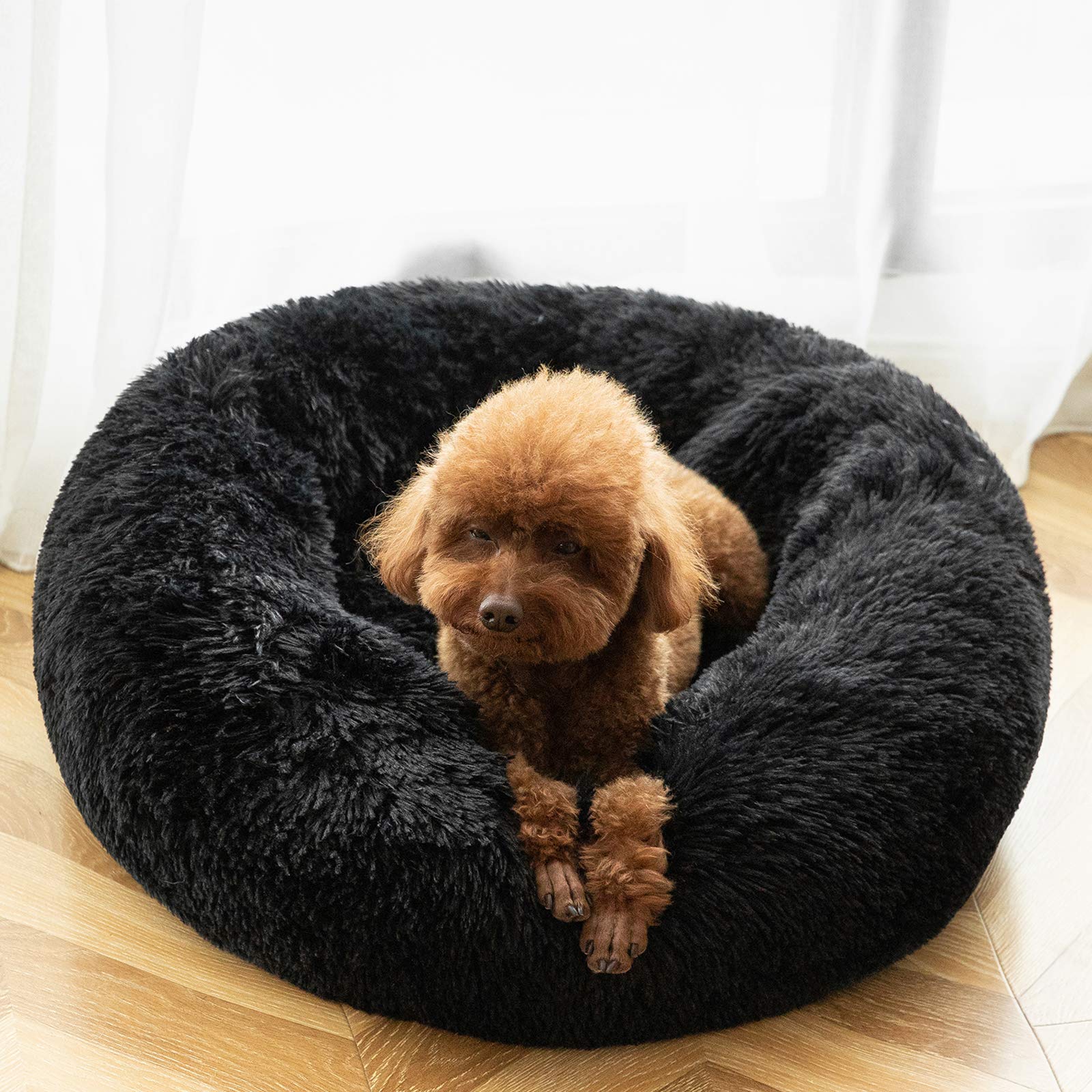 HACHIKITTY 24x24x7 bed fits pets up to 25 pounds