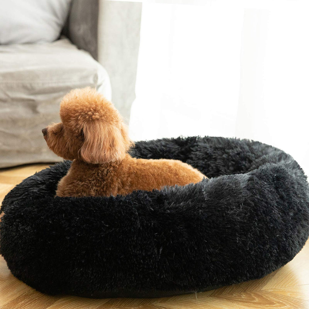 HACHIKITTY 30x30x9 bed supports pets up to 45 pounds