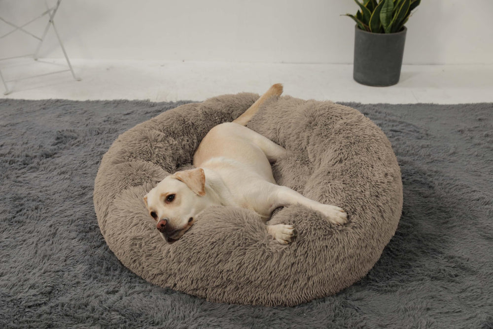 HACHIKITTY calming donut bed large-dog usage, ideal for big pets and lounge-ready moments.