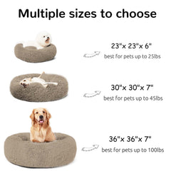 HACHIKITTY calming donut bed removable mat demonstrates versatility for seasons.